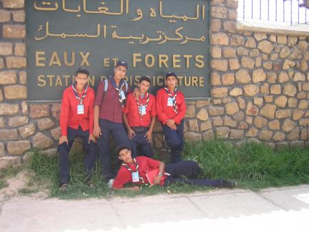 voila mes amis